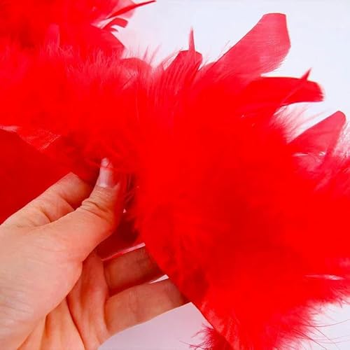 1/2 m Fransenbesatz aus Gänsefedern, gefertigt für selbstgemachte Hüte, Blumenarrangements und Kostüme – perfekt für Hochzeiten, Bühnenauftritte – rot – 1 Meter 1/2 m Fransenbesatz aus Gänsefedern, gefertigt für selbstgemachte Hüte, Blumenarrangements und Kostüme – perfekt für Hochzeiten, Bühnenauftritte – rot – 1 Meter von GVEKJ