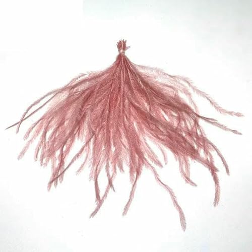 1 stuk/partij Struisvogelveren 15-18cm Natuurlijke Struisvogel Ambachtelijke veer voor Bruiloft Kleding Naaien Kerstdecoratie Pluimen-Leer Roze-15-18CM 1 stuk/partij Struisvogelveren 15-18cm Natuurlijke Struisvogel Ambachtelijke veer voor Bruiloft Kleding Naaien Kerstdecoratie Pluimen-Leer Roze-15-18CM von GVEKJ