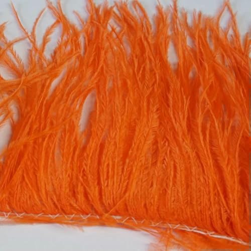 10–15 cm weiße Straußenfedern, Besatz an einer Schnur für Bastelarbeiten, Dekoration, Nähzubehör, Federband zum Basteln, Orange 10–15 cm weiße Straußenfedern, Besatz an einer Schnur für Bastelarbeiten, Dekoration, Nähzubehör, Federband zum Basteln, Orange von GVEKJ