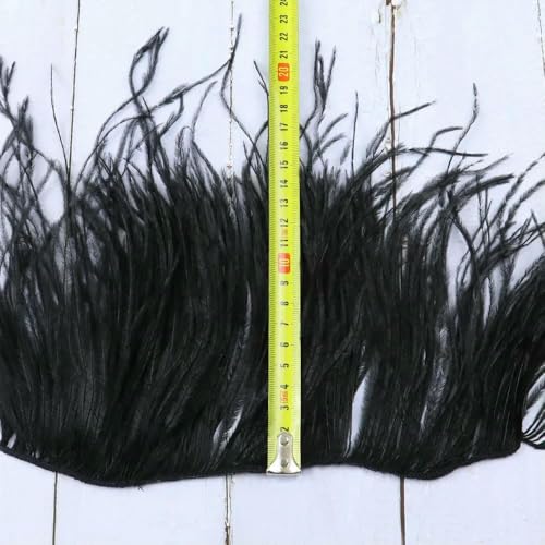 10–15 cm weiße Straußenfedern, Besatz an einer Schnur für Bastelarbeiten, Dekoration, Nähzubehör, Federband zum Basteln, schwarz 10–15 cm weiße Straußenfedern, Besatz an einer Schnur für Bastelarbeiten, Dekoration, Nähzubehör, Federband zum Basteln, schwarz von GVEKJ