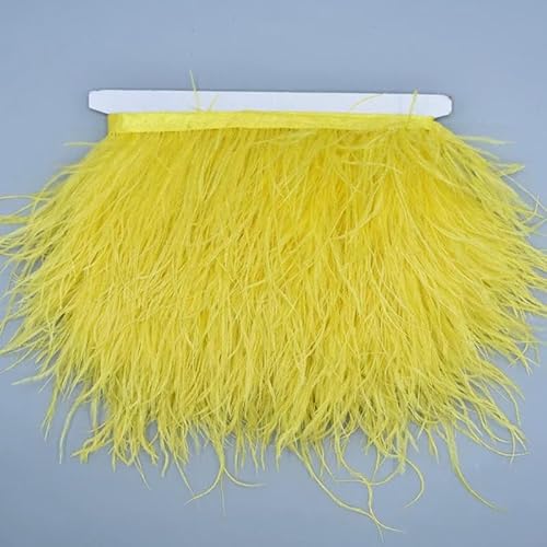 10 Meter farbige Straußenfedern auf Bandbesatz, 8–10 cm, Rockfransen auf Band, Straußenfederbesatz, Nähbesatz, Dekoration, Farbe 26 von GVEKJ