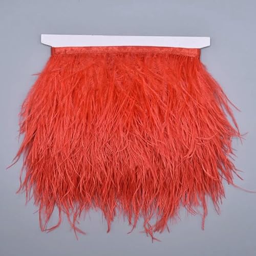 10 Meter farbige Straußenfedern auf Bandbesatz, 8–10 cm, Rockfransen auf Band, Straußenfederbesatz, Nähbesatz, Dekoration, Farbe 7 von GVEKJ