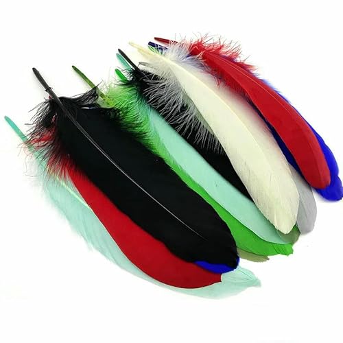 10 Stück/Los Hochzeitsfeier Goldfedern Federbusch zum Basteln DIY Naturfarben getauchte goldene Gänsefeder Home Weihnachtsdekoration-Farbig 15-20 cm von GVEKJ