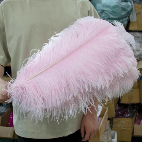 10 Stück Straußenfedern, 15–60 cm, DIY-Schmuck, Hochzeit, Heimdekoration, Bastelzubehör, Handarbeiten, Federn, Tischdekoration, Hellrosa, 55–60 cm, 22–24 Zoll 10 Stück Straußenfedern, 15–60 cm, DIY-Schmuck, Hochzeit, Heimdekoration, Bastelzubehör, Handarbeiten, Federn, Tischdekoration, Hellrosa, 55–60 cm, 22–24 Zoll von GVEKJ