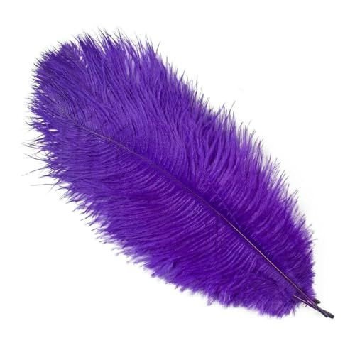 10 Stück gelbe Straußenfedern, 15–60 cm, für Hochzeit, Party, Heimdekoration, natürliche Straußenfedern, Tischdekoration, Kunsthandwerk, Lila, 55–60 cm, 22–24 Zoll 10 Stück gelbe Straußenfedern, 15–60 cm, für Hochzeit, Party, Heimdekoration, natürliche Straußenfedern, Tischdekoration, Kunsthandwerk, Lila, 55–60 cm, 22–24 Zoll von GVEKJ