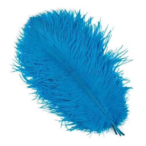 10 Stück natürliche schwarze Straußenfedern für Hochzeiten, Heimdekorationen, 15–20 cm/25–30 cm/55–60 cm, Party-Straußenfedern, Tafelaufsatz, türkis, 30–35 cm von GVEKJ