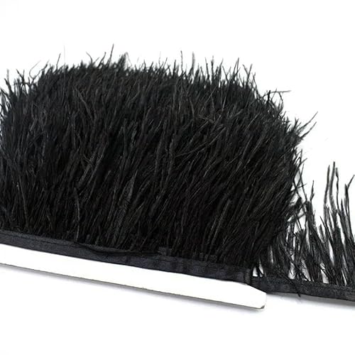 10 m, 8–10 cm, farbige Straußenfedern-Bordüre – leichtes und fließendes DIY-Band für Brautkleider, Bastelarbeiten und Kopfschmuck – 0–10 Meter 10 m, 8–10 cm, farbige Straußenfedern-Bordüre – leichtes und fließendes DIY-Band für Brautkleider, Bastelarbeiten und Kopfschmuck – 0–10 Meter von GVEKJ