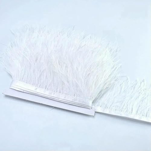 10 m, 8–10 cm, farbige Straußenfedern-Bordüre – leichtes und fließendes DIY-Band für Brautkleider, Bastelarbeiten und Kopfschmuck – 1–10 Meter 10 m, 8–10 cm, farbige Straußenfedern-Bordüre – leichtes und fließendes DIY-Band für Brautkleider, Bastelarbeiten und Kopfschmuck – 1–10 Meter von GVEKJ