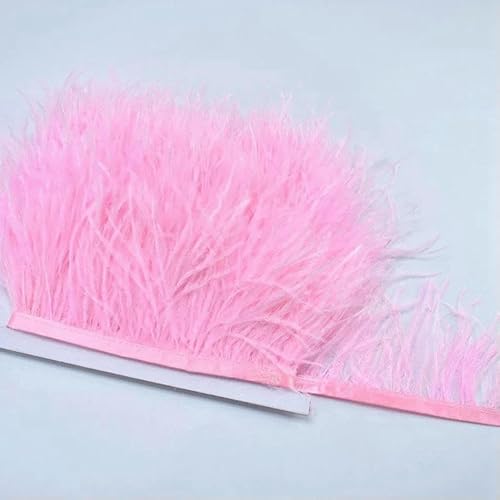 10 m, 8–10 cm, farbige Straußenfedern-Bordüre – leichtes und fließendes DIY-Band für Brautkleider, Bastelarbeiten und Kopfschmuck – 10–10 Meter von GVEKJ