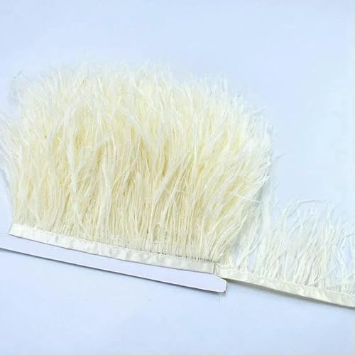 10 m, 8–10 cm, farbige Straußenfedern-Bordüre – leichtes und fließendes DIY-Band für Brautkleider, Bastelarbeiten und Kopfschmuck – 11–10 Meter 10 m, 8–10 cm, farbige Straußenfedern-Bordüre – leichtes und fließendes DIY-Band für Brautkleider, Bastelarbeiten und Kopfschmuck – 11–10 Meter von GVEKJ