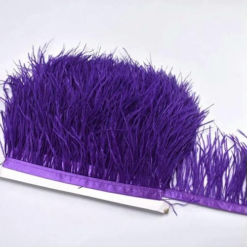 10 m, 8–10 cm, farbige Straußenfedern-Bordüre – leichtes und fließendes DIY-Band für Brautkleider, Bastelarbeiten und Kopfschmuck – 12–10 Meter 10 m, 8–10 cm, farbige Straußenfedern-Bordüre – leichtes und fließendes DIY-Band für Brautkleider, Bastelarbeiten und Kopfschmuck – 12–10 Meter von GVEKJ