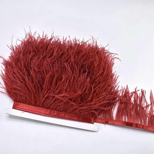 10 m, 8–10 cm, farbige Straußenfedern-Bordüre – leichtes und fließendes DIY-Band für Brautkleider, Bastelarbeiten und Kopfschmuck – 13–10 Meter 10 m, 8–10 cm, farbige Straußenfedern-Bordüre – leichtes und fließendes DIY-Band für Brautkleider, Bastelarbeiten und Kopfschmuck – 13–10 Meter von GVEKJ