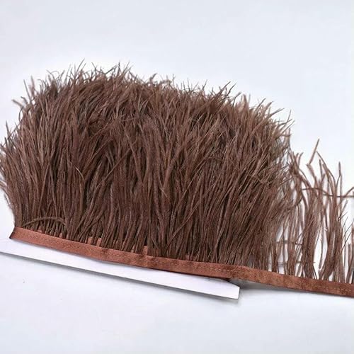 10 m, 8–10 cm, farbige Straußenfedern-Bordüre – leichtes und fließendes DIY-Band für Brautkleider, Bastelarbeiten und Kopfschmuck – 15–10 Meter 10 m, 8–10 cm, farbige Straußenfedern-Bordüre – leichtes und fließendes DIY-Band für Brautkleider, Bastelarbeiten und Kopfschmuck – 15–10 Meter von GVEKJ