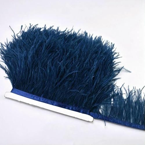 10 m, 8–10 cm, farbige Straußenfedern-Bordüre – leichtes und fließendes DIY-Band für Brautkleider, Bastelarbeiten und Kopfschmuck – 16–10 Meter von GVEKJ