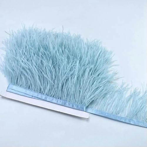 10 m, 8–10 cm, farbige Straußenfedern-Bordüre – leichtes und fließendes DIY-Band für Brautkleider, Bastelarbeiten und Kopfschmuck – 17–10 Meter von GVEKJ