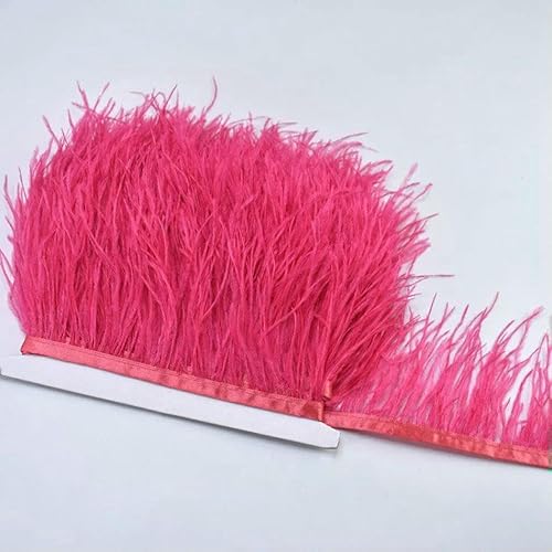 10 m, 8–10 cm, farbige Straußenfedern-Bordüre – leichtes und fließendes DIY-Band für Brautkleider, Bastelarbeiten und Kopfschmuck – 18–10 Meter 10 m, 8–10 cm, farbige Straußenfedern-Bordüre – leichtes und fließendes DIY-Band für Brautkleider, Bastelarbeiten und Kopfschmuck – 18–10 Meter von GVEKJ