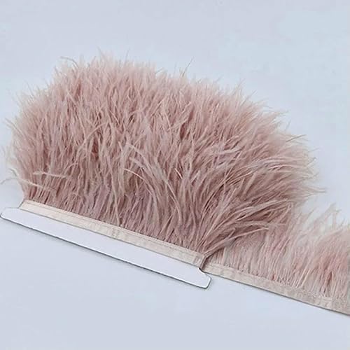 10 m, 8–10 cm, farbige Straußenfedern-Bordüre – leichtes und fließendes DIY-Band für Brautkleider, Bastelarbeiten und Kopfschmuck – 2–10 Meter von GVEKJ