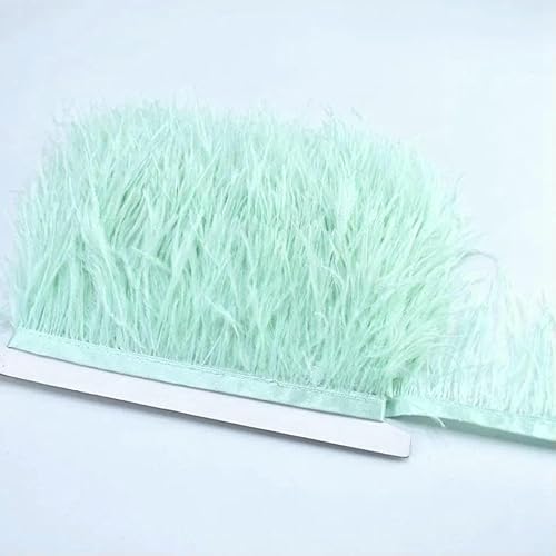 10 m, 8–10 cm, farbige Straußenfedern-Bordüre – leichtes und fließendes DIY-Band für Brautkleider, Bastelarbeiten und Kopfschmuck – 20–10 Meter 10 m, 8–10 cm, farbige Straußenfedern-Bordüre – leichtes und fließendes DIY-Band für Brautkleider, Bastelarbeiten und Kopfschmuck – 20–10 Meter von GVEKJ