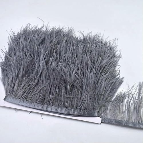 10 m, 8–10 cm, farbige Straußenfedern-Bordüre – leichtes und fließendes DIY-Band für Brautkleider, Bastelarbeiten und Kopfschmuck – 21–10 Meter 10 m, 8–10 cm, farbige Straußenfedern-Bordüre – leichtes und fließendes DIY-Band für Brautkleider, Bastelarbeiten und Kopfschmuck – 21–10 Meter von GVEKJ