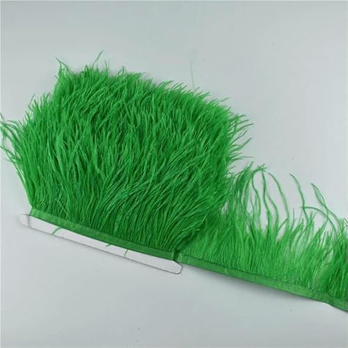 10 m, 8–10 cm, farbige Straußenfedern-Bordüre – leichtes und fließendes DIY-Band für Brautkleider, Bastelarbeiten und Kopfschmuck – 22–10 Meter 10 m, 8–10 cm, farbige Straußenfedern-Bordüre – leichtes und fließendes DIY-Band für Brautkleider, Bastelarbeiten und Kopfschmuck – 22–10 Meter von GVEKJ