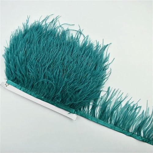 10 m, 8–10 cm, farbige Straußenfedern-Bordüre – leichtes und fließendes DIY-Band für Brautkleider, Bastelarbeiten und Kopfschmuck – 23–10 Meter 10 m, 8–10 cm, farbige Straußenfedern-Bordüre – leichtes und fließendes DIY-Band für Brautkleider, Bastelarbeiten und Kopfschmuck – 23–10 Meter von GVEKJ
