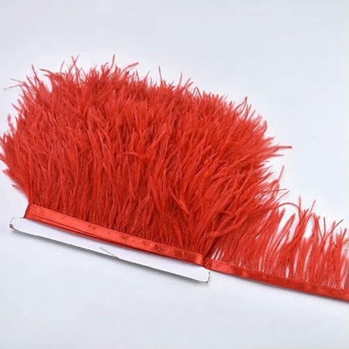10 m, 8–10 cm, farbige Straußenfedern-Bordüre – leichtes und fließendes DIY-Band für Brautkleider, Bastelarbeiten und Kopfschmuck – 3–10 Meter 10 m, 8–10 cm, farbige Straußenfedern-Bordüre – leichtes und fließendes DIY-Band für Brautkleider, Bastelarbeiten und Kopfschmuck – 3–10 Meter von GVEKJ
