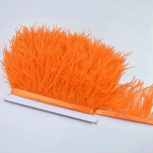 10 m, 8–10 cm, farbige Straußenfedern-Bordüre – leichtes und fließendes DIY-Band für Brautkleider, Bastelarbeiten und Kopfschmuck – 6–10 Meter 10 m, 8–10 cm, farbige Straußenfedern-Bordüre – leichtes und fließendes DIY-Band für Brautkleider, Bastelarbeiten und Kopfschmuck – 6–10 Meter von GVEKJ
