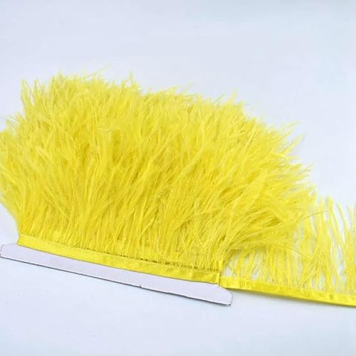 10 m, 8–10 cm, farbige Straußenfedern-Bordüre – leichtes und fließendes DIY-Band für Brautkleider, Bastelarbeiten und Kopfschmuck – 7–10 Meter 10 m, 8–10 cm, farbige Straußenfedern-Bordüre – leichtes und fließendes DIY-Band für Brautkleider, Bastelarbeiten und Kopfschmuck – 7–10 Meter von GVEKJ