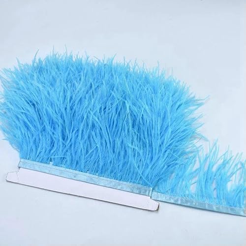 10 m, 8–10 cm, farbige Straußenfedern-Bordüre – leichtes und fließendes DIY-Band für Brautkleider, Bastelarbeiten und Kopfschmuck – 8–10 Meter 10 m, 8–10 cm, farbige Straußenfedern-Bordüre – leichtes und fließendes DIY-Band für Brautkleider, Bastelarbeiten und Kopfschmuck – 8–10 Meter von GVEKJ