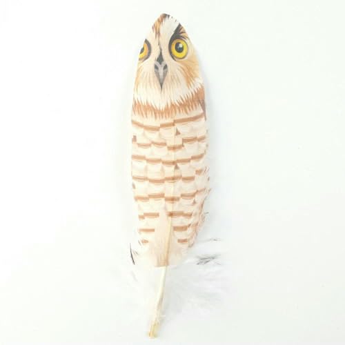 10 stuks/Lot Hard Stick Ganzenveren voor Handwerk Dromenvanger Gekleurde Witte Zwarte Ganzenveren Handwerk Accessoires Decor-02-10 stuks von GVEKJ