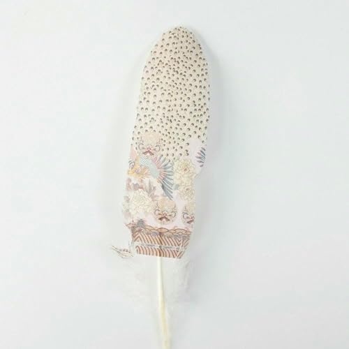 10 stuks/Lot Hard Stick Ganzenveren voor Handwerk Dromenvanger Gekleurde Witte Zwarte Ganzenveren Handwerk Accessoires Decor-06-10 stuks von GVEKJ