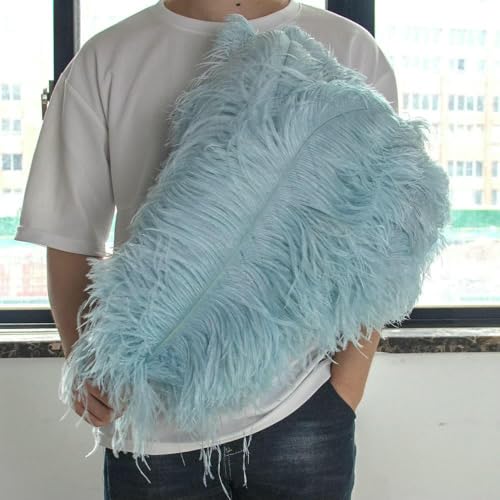 10 stuks/partij 15-50cm rozenstruisvogelveren voor knutselen witte veren vazen bruiloft feestdecoratie handwerk doe-het-zelf accessoire pluimen-lichtblauw-45-50cm 18-20inch von GVEKJ