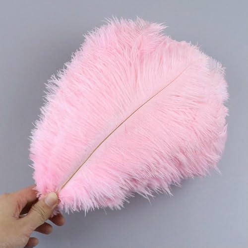 10 stuks/partij 15-50cm rozenstruisvogelveren voor knutselen witte veren vazen bruiloft feestdecoratie handwerk doe-het-zelf accessoire pluimen-lichtroze-45-50cm 18-20inch von GVEKJ
