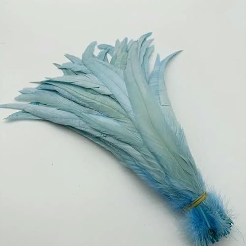 100 Stück 30–35 cm Hahnenschwanzfedern, himmelblau, natürliche Federn, beige, DIY, Hahn, Kleidung, Schmuck, Zubehör, Party, himmelblau, 25–30 cm 100 Stück 30–35 cm Hahnenschwanzfedern, himmelblau, natürliche Federn, beige, DIY, Hahn, Kleidung, Schmuck, Zubehör, Party, himmelblau, 25–30 cm von GVEKJ