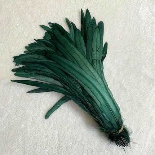 100 Stück 30–35 cm Hahnenschwanzfedern, himmelblau, natürliche Federn, beige, DIY, Hahn, Kleidung, Schmuck, Zubehör, Party, schwärzlich grün, 30–35 cm 100 Stück 30–35 cm Hahnenschwanzfedern, himmelblau, natürliche Federn, beige, DIY, Hahn, Kleidung, Schmuck, Zubehör, Party, schwärzlich grün, 30–35 cm von GVEKJ