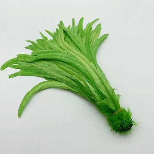 100 Stück 30–35 cm Hahnenschwanzfedern, himmelblau, natürliche Federn, beige, DIY, Kleidung, Schmuck, Zubehör, Party, grün, 35–40 cm von GVEKJ