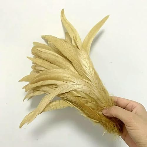 100 stuks hanenstaartveren, rood en zwart, alle maten, doe-het-zelf, kleding, sieraden, accessoires, bruiloftsbenodigdheden, prestatiebenodigdheden, lichtgoud, 30-35 cm 100 stuks hanenstaartveren, rood en zwart, alle maten, doe-het-zelf, kleding, sieraden, accessoires, bruiloftsbenodigdheden, prestatiebenodigdheden, lichtgoud, 30-35 cm von GVEKJ