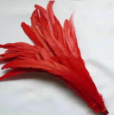 100 stuks hanenstaartveren rood zwart alle maten DIY veren kleding sieraden accessoires bruiloft benodigdheden prestaties noodzakelijk-rood-25-30cm von GVEKJ