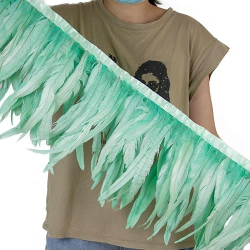 2 Meter rote Hahnenschwanzfedern, Besatzband, 25–30 cm, Hahnenfedern, Fransen für Party, Karneval, Kostüm, Nähzubehör, Mintgrün von GVEKJ