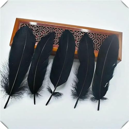 20 Stück Hartstangengans weiße Federn Federn DIY Hochzeitsmittelstücke für Tische Karneval Party Dekor Zubehör Bastelmaterial-Schwarze Federn-20 Stück 20 Stück Hartstangengans weiße Federn Federn DIY Hochzeitsmittelstücke für Tische Karneval Party Dekor Zubehör Bastelmaterial-Schwarze Federn-20 Stück von GVEKJ