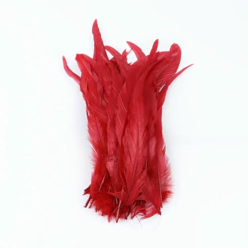 50 Stück/Los, natürliche Hahnenschwanzfedern für Festivals, Bühnenauftritte, Dekoration, Federbusch, 25–40 cm, 10–16 Zoll, gefärbt, Rot, 30–35 cm 50 Stück/Los, natürliche Hahnenschwanzfedern für Festivals, Bühnenauftritte, Dekoration, Federbusch, 25–40 cm, 10–16 Zoll, gefärbt, Rot, 30–35 cm von GVEKJ