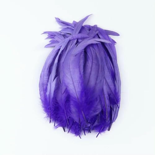 50 Stück/Los, natürliche Hahnenschwanzfedern für Festivals, Bühnenauftritte, Dekoration, Federbusch, 25–40 cm, 10–16 Zoll, gefärbt, lila, 35–40 cm 50 Stück/Los, natürliche Hahnenschwanzfedern für Festivals, Bühnenauftritte, Dekoration, Federbusch, 25–40 cm, 10–16 Zoll, gefärbt, lila, 35–40 cm von GVEKJ