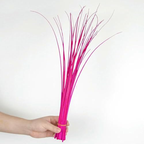 50 Stück 100 Stück 45–50 cm Straußenfedern, harte Stange, bunte Federkiele, für Heimwerker, Hutmacher, Basteln, Kopfbedeckungen, Zubehör, Plumas Pole-Rose-50 Stück 50 Stück 100 Stück 45–50 cm Straußenfedern, harte Stange, bunte Federkiele, für Heimwerker, Hutmacher, Basteln, Kopfbedeckungen, Zubehör, Plumas Pole-Rose-50 Stück von GVEKJ