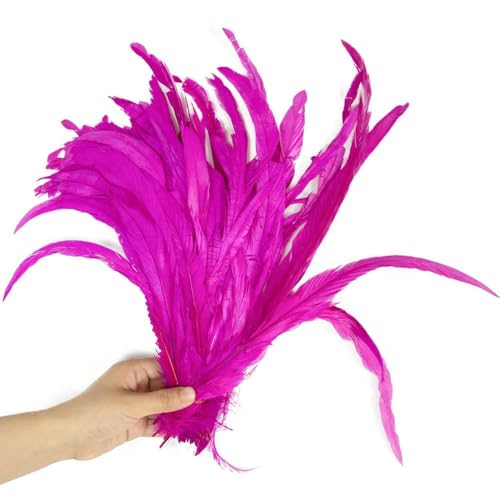 50 Stück bunte Hahnenschwanzfedern, 10–16 Zoll, leicht und weich, geeignet für Bastelarbeiten, Partydekoration, festliche Atmosphäre, dunkelrot, 30–35 cm, 12–14 Zoll von GVEKJ
