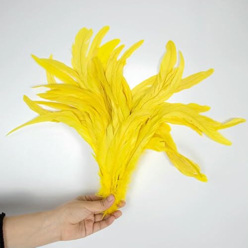 50 Stück bunte Hahnenschwanzfedern, 10–16 Zoll, leicht und weich, geeignet für Bastelarbeiten, Partydekoration, festliche Atmosphäre, gelb, 25–30 cm, 10–12 Zoll 50 Stück bunte Hahnenschwanzfedern, 10–16 Zoll, leicht und weich, geeignet für Bastelarbeiten, Partydekoration, festliche Atmosphäre, gelb, 25–30 cm, 10–12 Zoll von GVEKJ