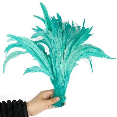 50 Stück bunte Hahnenschwanzfedern, 10–16 Zoll, leicht und weich, geeignet für Bastelarbeiten, Partydekoration, festliche Atmosphäre, hellblau, 35–40 cm, 14–16 Zoll 50 Stück bunte Hahnenschwanzfedern, 10–16 Zoll, leicht und weich, geeignet für Bastelarbeiten, Partydekoration, festliche Atmosphäre, hellblau, 35–40 cm, 14–16 Zoll von GVEKJ