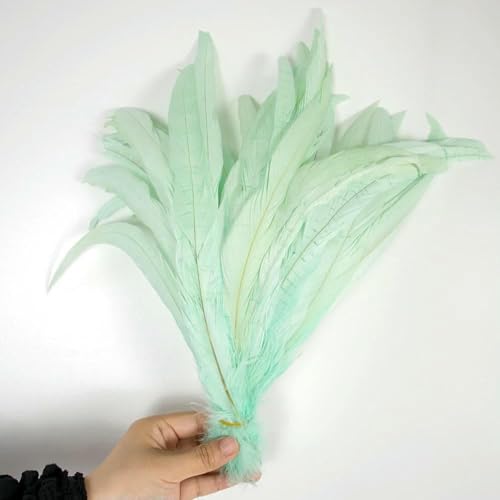 50 Stück bunte Hahnenschwanzfedern, 10–16 Zoll, leicht und weich, geeignet für Bastelarbeiten, Partydekoration, festliche Atmosphäre, hellgrün, 35–40 cm, 14–16 Zoll von GVEKJ