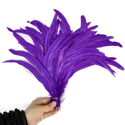 50 Stück bunte Hahnenschwanzfedern, 10–16 Zoll, leicht und weich, geeignet für Bastelarbeiten, Partydekoration, festliche Atmosphäre, lila, 25–30 cm, 10–12 Zoll von GVEKJ
