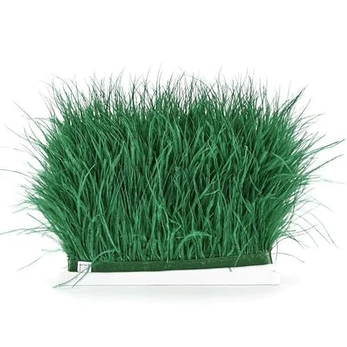 8–10 cm Straußenfederbesatz für Handarbeiten und Handarbeiten, schwarzer Federrock, Dekoration, natürliche Federn, Bandfransen, grün, 8–10 8–10 cm Straußenfederbesatz für Handarbeiten und Handarbeiten, schwarzer Federrock, Dekoration, natürliche Federn, Bandfransen, grün, 8–10 von GVEKJ