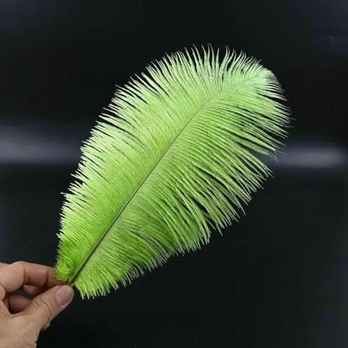 Beautostrich Feder 10 PCS Feder Länge 10-12 Zoll / 25-30 cm von Hochzeit zu schmücken eine Vielzahl von Farbe optional-grün Beautostrich Feder 10 PCS Feder Länge 10-12 Zoll / 25-30 cm von Hochzeit zu schmücken eine Vielzahl von Farbe optional-grün von GVEKJ